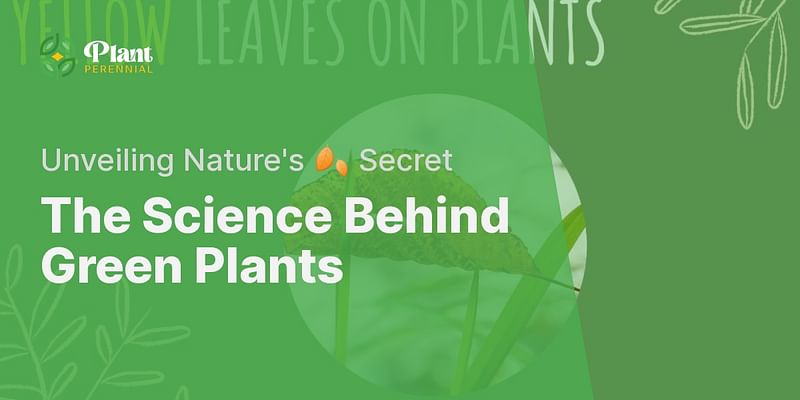 The Science Behind Green Plants - Unveiling Nature's 🍂 Secret