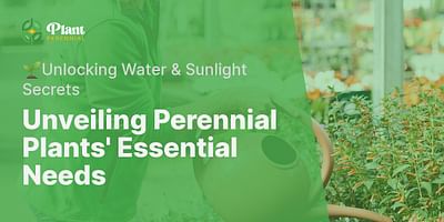 Unveiling Perennial Plants' Essential Needs - 🌱Unlocking Water & Sunlight Secrets
