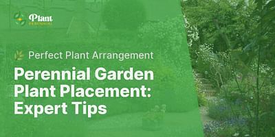 Perennial Garden Plant Placement: Expert Tips - 🌿 Perfect Plant Arrangement