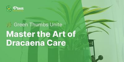 Master the Art of Dracaena Care - 🌿 Green Thumbs Unite