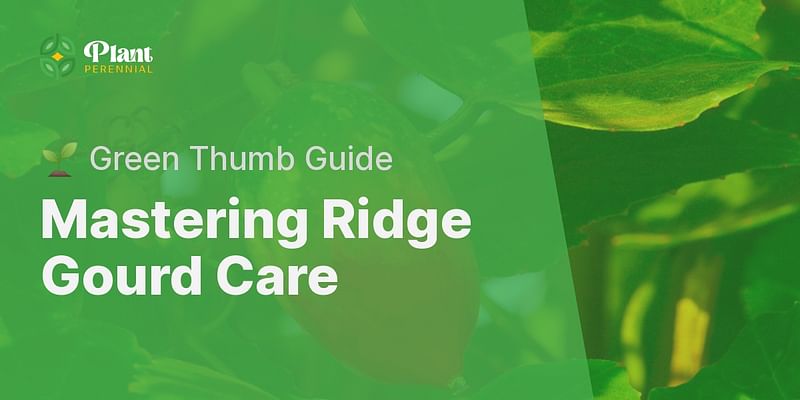 Mastering Ridge Gourd Care - 🌱 Green Thumb Guide