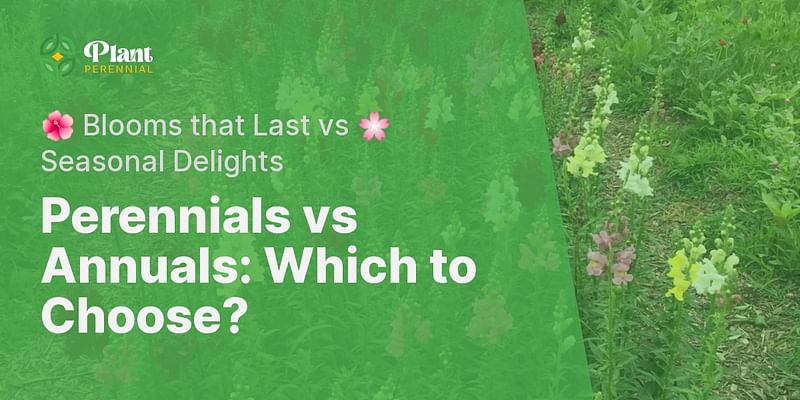 Perennials vs Annuals: Which to Choose? - 🌺 Blooms that Last vs 🌸 Seasonal Delights