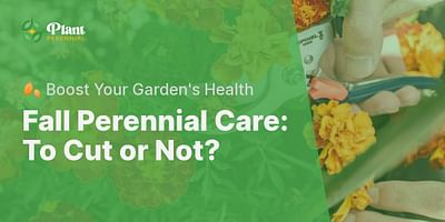Fall Perennial Care: To Cut or Not? - 🍂 Boost Your Garden's Health
