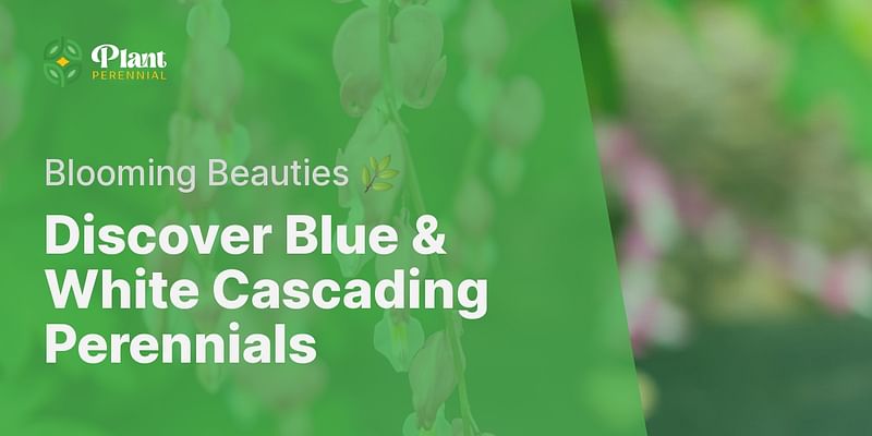 Discover Blue & White Cascading Perennials - Blooming Beauties 🌿