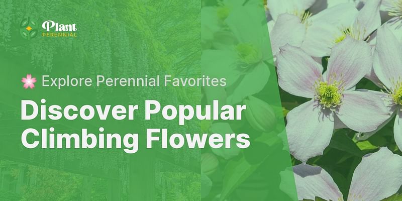 Discover Popular Climbing Flowers - 🌸 Explore Perennial Favorites