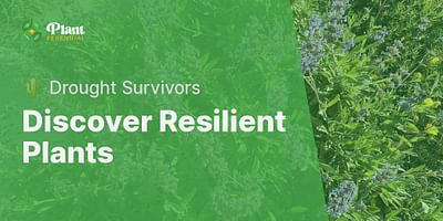 Discover Resilient Plants - 🌵 Drought Survivors