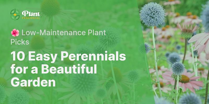 10 Easy Perennials for a Beautiful Garden - 🌺 Low-Maintenance Plant Picks