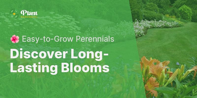 Discover Long-Lasting Blooms - 🌺 Easy-to-Grow Perennials