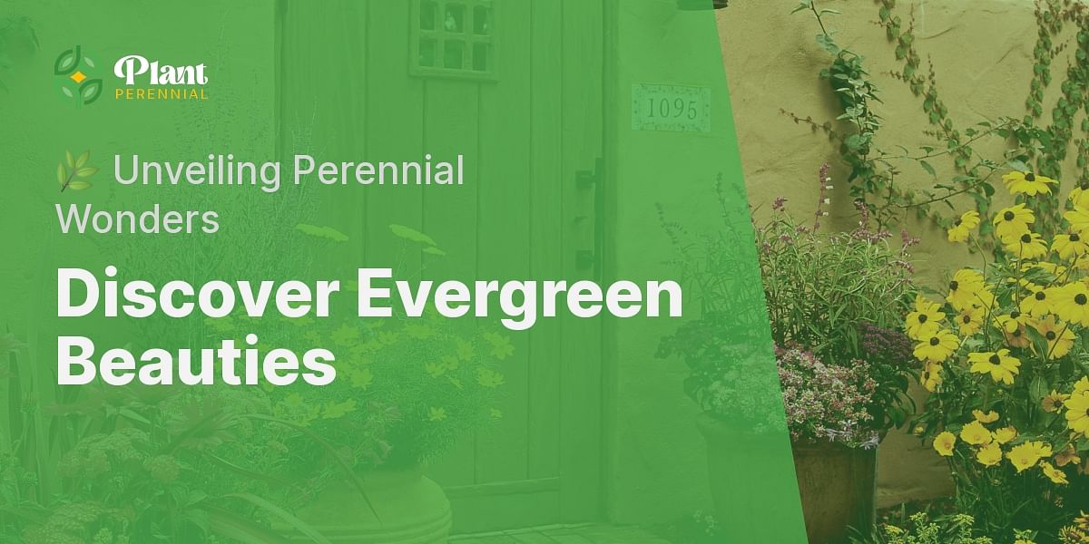 What are some examples of perennial plants?