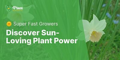 Discover Sun-Loving Plant Power - 🌞 Super Fast Growers