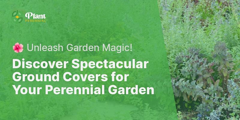 Discover Spectacular Ground Covers for Your Perennial Garden - 🌺 Unleash Garden Magic!