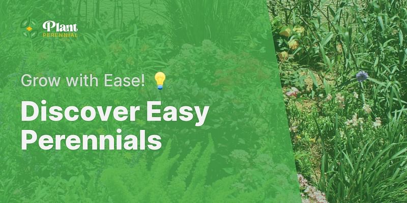 Discover Easy Perennials - Grow with Ease! 💡