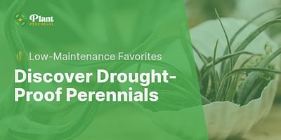 Discover Drought-Proof Perennials - 🌵 Low-Maintenance Favorites