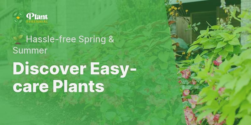 Discover Easy-care Plants - 🌱 Hassle-free Spring & Summer
