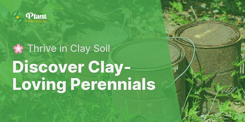 Discover Clay-Loving Perennials - 🌸 Thrive in Clay Soil