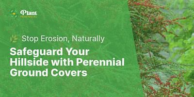 Safeguard Your Hillside with Perennial Ground Covers - 🌿 Stop Erosion, Naturally
