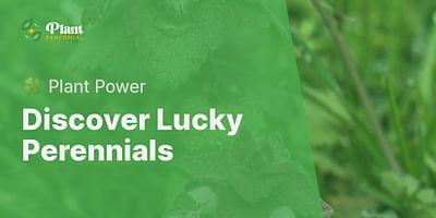 Discover Lucky Perennials - 🍀 Plant Power