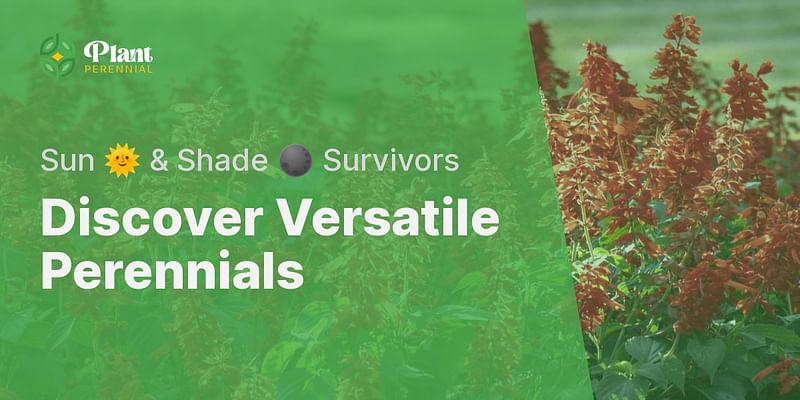 Discover Versatile Perennials - Sun 🌞 & Shade 🌑 Survivors