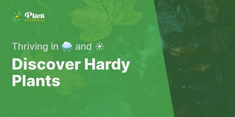 Discover Hardy Plants - Thriving in 🌧️ and ☀️