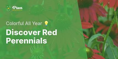 Discover Red Perennials - Colorful All Year 💡