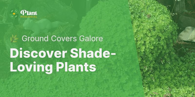 Discover Shade-Loving Plants - 🌿 Ground Covers Galore
