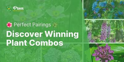 Discover Winning Plant Combos - 🌺 Perfect Pairings 🌿