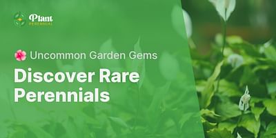 Discover Rare Perennials - 🌺 Uncommon Garden Gems