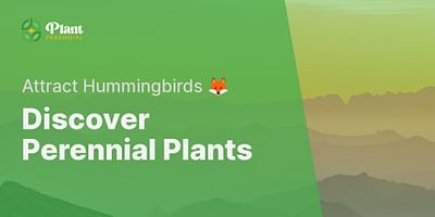 Discover Perennial Plants - Attract Hummingbirds 🦊