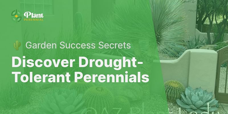 Discover Drought-Tolerant Perennials - 🌵 Garden Success Secrets