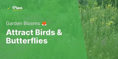 Attract Birds & Butterflies - Garden Blooms 🦊