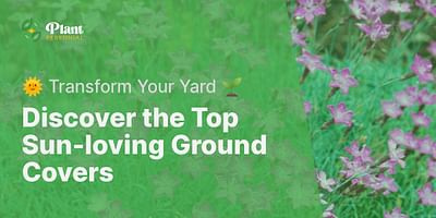 Discover the Top Sun-loving Ground Covers - 🌞 Transform Your Yard 🌱