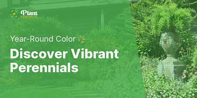 Discover Vibrant Perennials - Year-Round Color 🌿