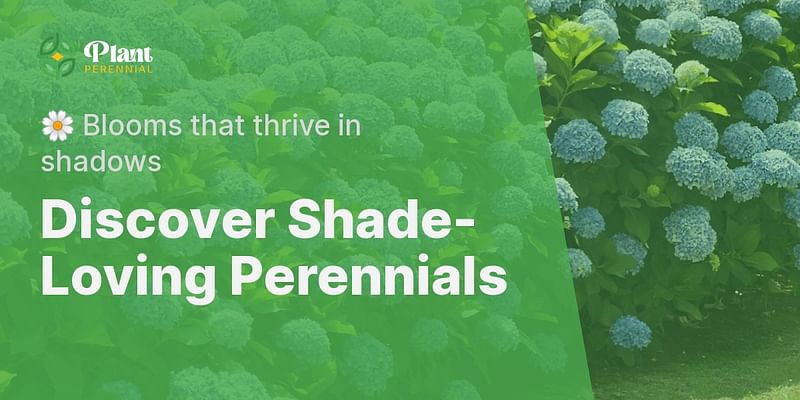 Discover Shade-Loving Perennials - 🌼 Blooms that thrive in shadows