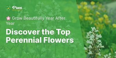 Discover the Top Perennial Flowers - 🌸 Grow Beautifully Year After Year