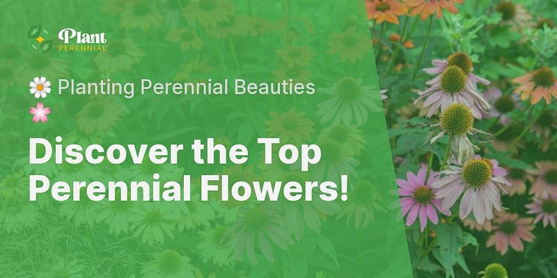 Discover the Top Perennial Flowers! - 🌼 Planting Perennial Beauties 🌸