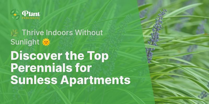 Discover the Top Perennials for Sunless Apartments - 🌿 Thrive Indoors Without Sunlight 🌞