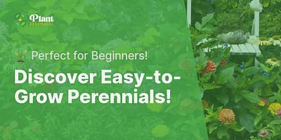 Discover Easy-to-Grow Perennials! - 🌱 Perfect for Beginners!