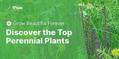 Discover the Top Perennial Plants - 🌼 Grow Beautiful Forever