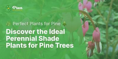 Discover the Ideal Perennial Shade Plants for Pine Trees - 🌿 Perfect Plants for Pine 🌲