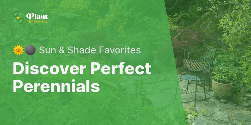 Discover Perfect Perennials - 🌞🌑 Sun & Shade Favorites