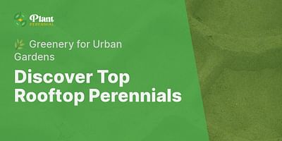 Discover Top Rooftop Perennials - 🌿 Greenery for Urban Gardens