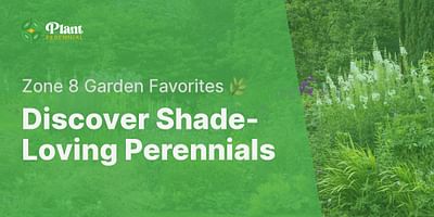 Discover Shade-Loving Perennials - Zone 8 Garden Favorites 🌿