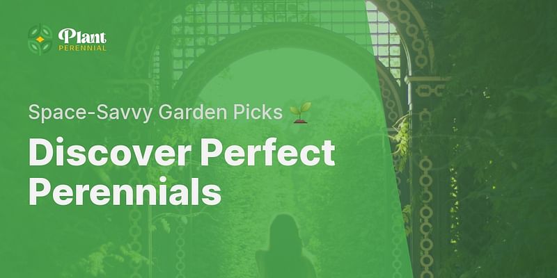 Discover Perfect Perennials - Space-Savvy Garden Picks 🌱
