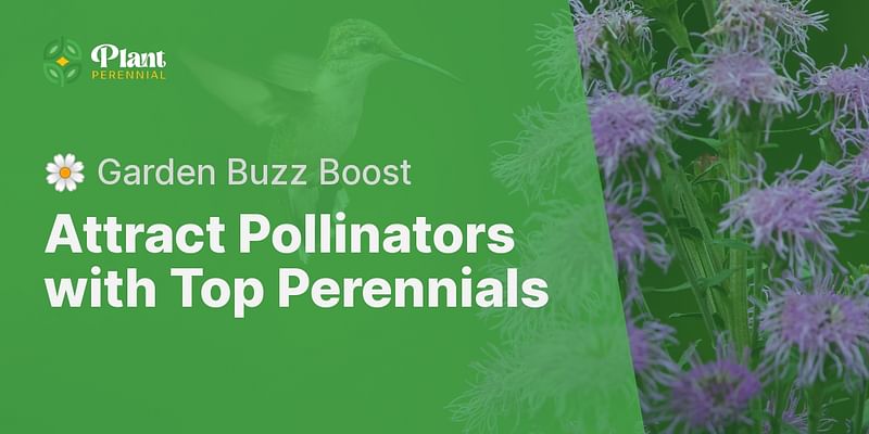 What Are The Best Perennials For Attracting Pollinators To My Garden