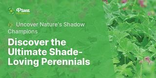 Discover the Ultimate Shade-Loving Perennials - 🌿 Uncover Nature's Shadow Champions