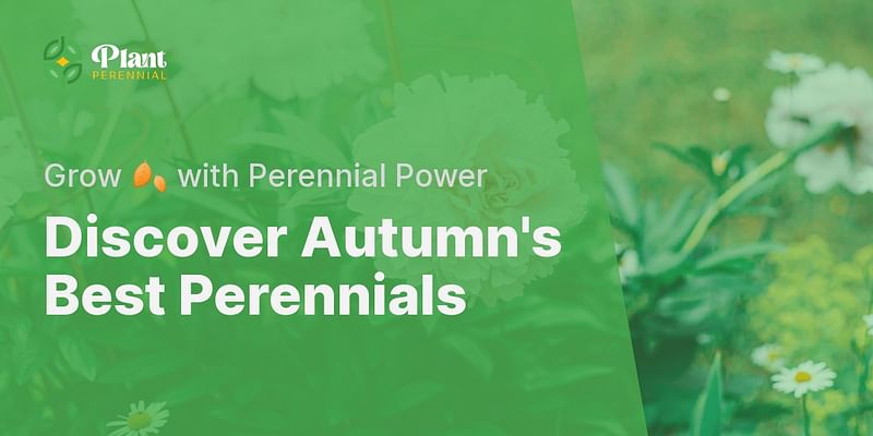 Discover Autumn's Best Perennials - Grow 🍂 with Perennial Power