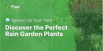 Discover the Perfect Rain Garden Plants - 🌧️ Spruce Up Your Yard 🌱