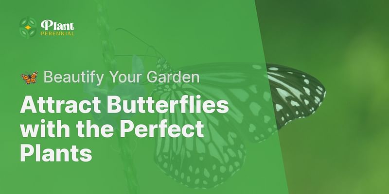 Attract Butterflies with the Perfect Plants - 🦋 Beautify Your Garden
