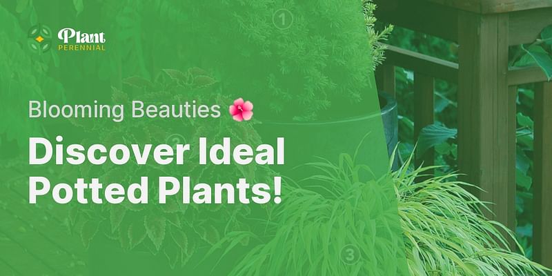 Discover Ideal Potted Plants! - Blooming Beauties 🌺