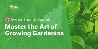 Master the Art of Growing Gardenias - 🌺 Green Thumb Secrets